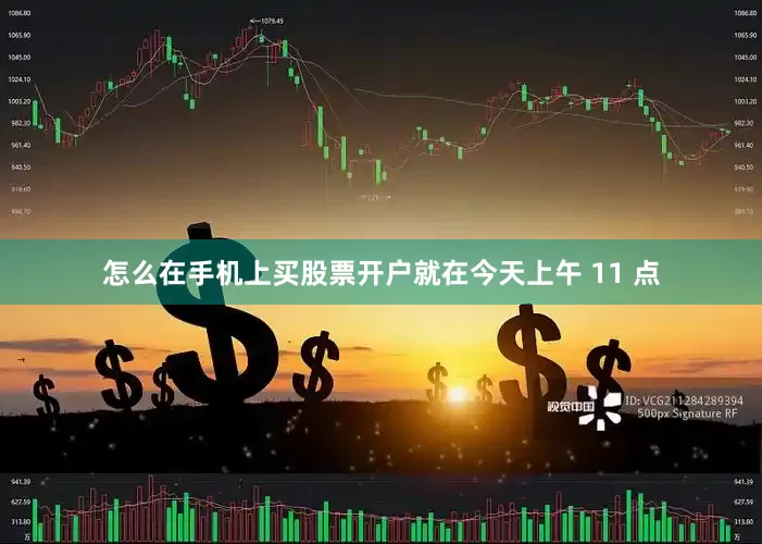 怎么在手机上买股票开户就在今天上午 11 点
